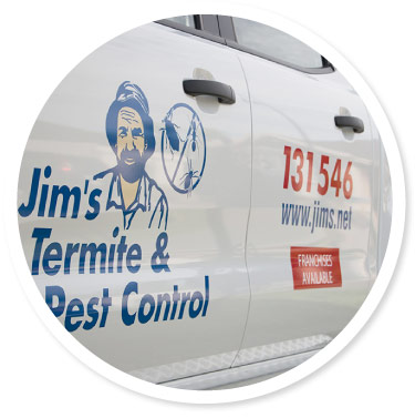 Pest Control Services